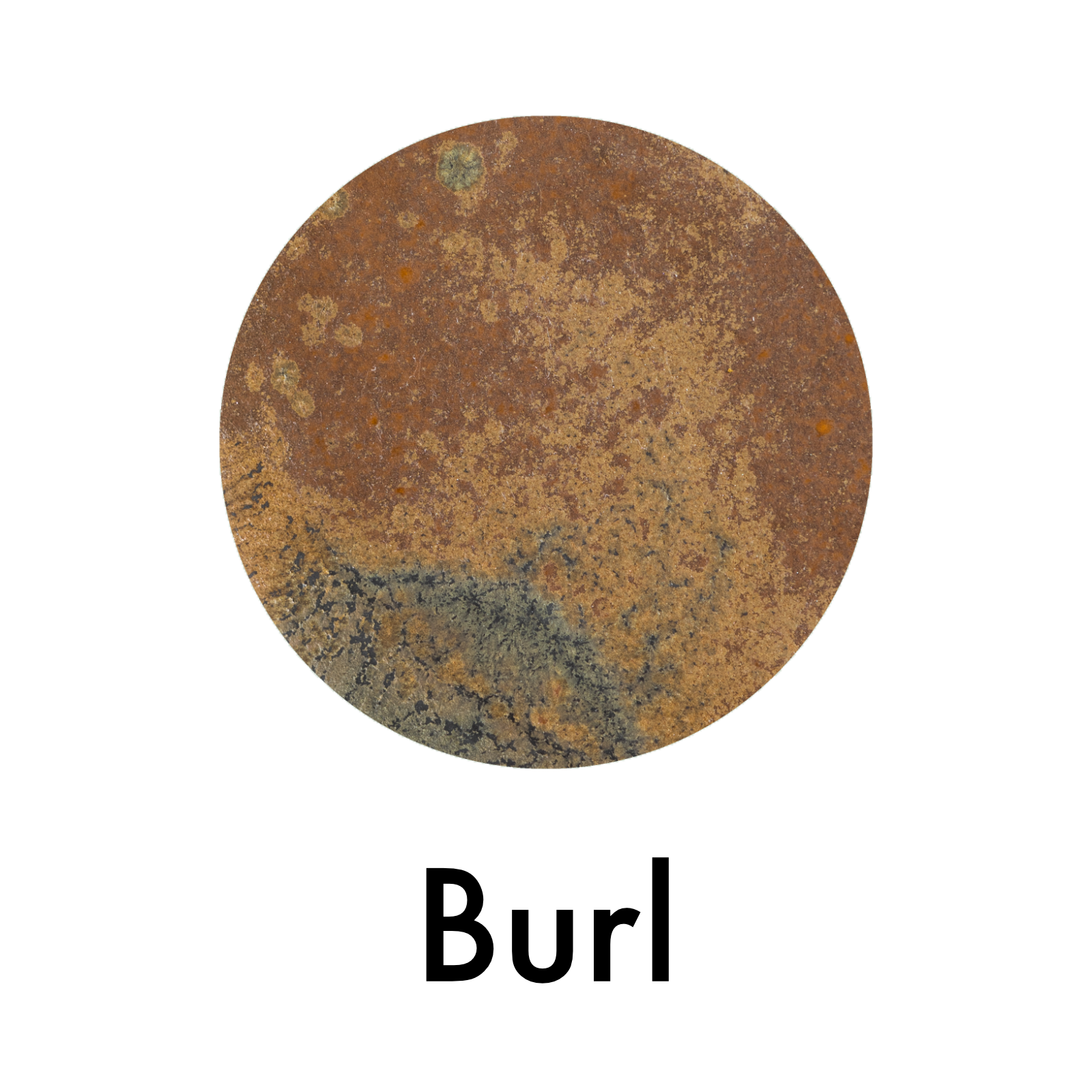 Appetizer Tray - Seconds