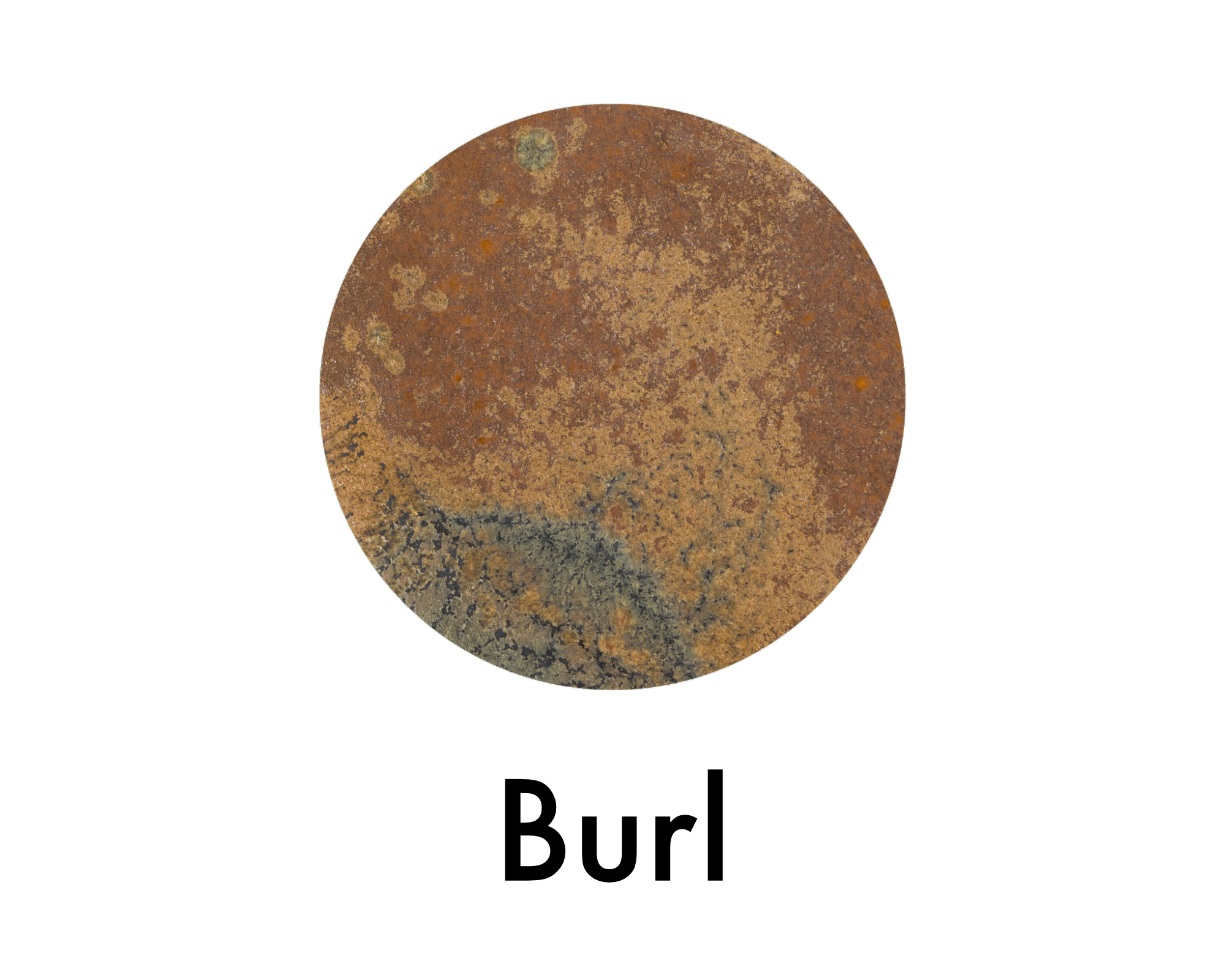 Appetizer Tray - Seconds