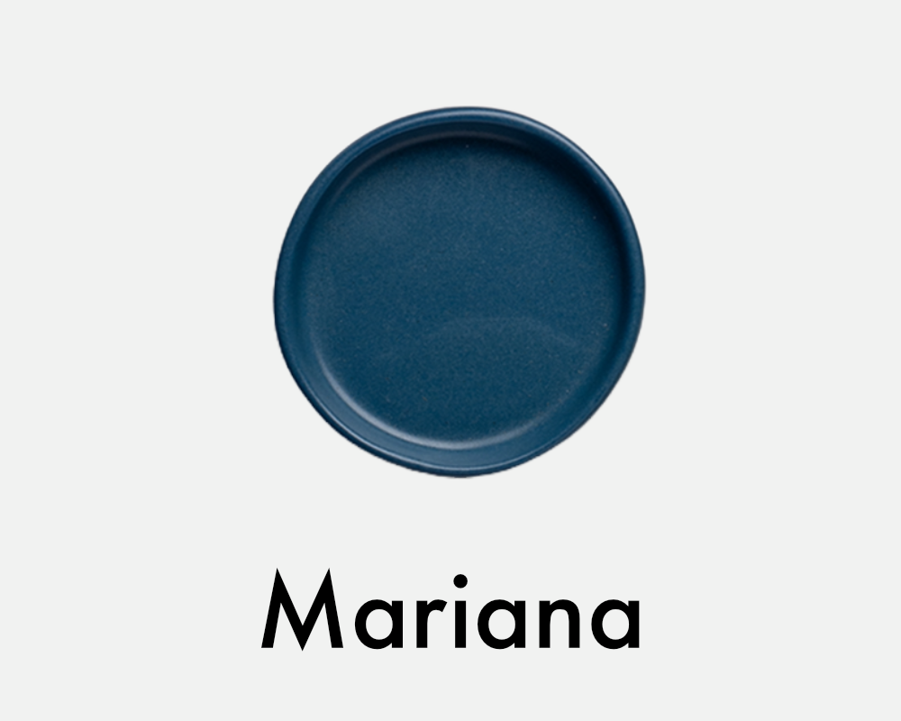 Ripple Dinner Plate - Seconds